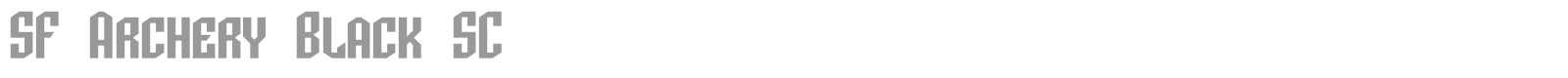 SF Archery Black font preview